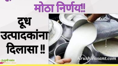 Milk Prices Maharashtra