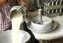 Milk rates Update 2023 दूध दरासाठी शासनाचा मोठा निर्णय! आता असे ठरणार दूधाचे भाव?