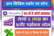 PhonePe loan app 2024 कम सिबिल स्कोर पर लोन, फोन पे देगा 2 मिनट में लोन