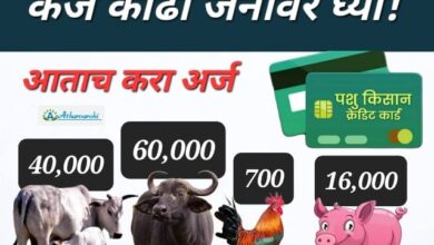 pashupalan loan 2024 कर्ज काढा जनावरे घ्या