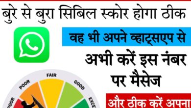 cibil score kaise badhaye 2024 क्रेडिट स्कोर को ठीक कैसे करे